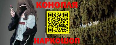 Альфа ПВП Пенза