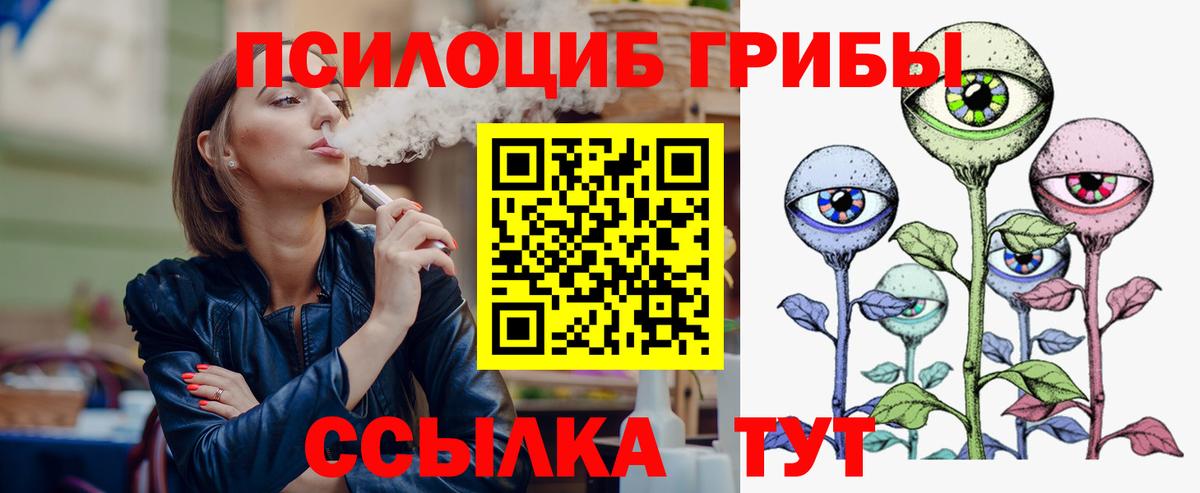 Псилоцибиновые грибы Psilocybine cubensis  Вход с VPN  Сердобск 